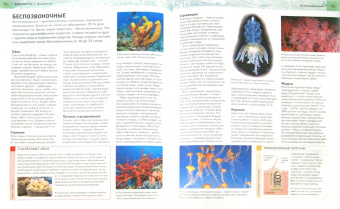 Настольная энциклопедия современного школьника