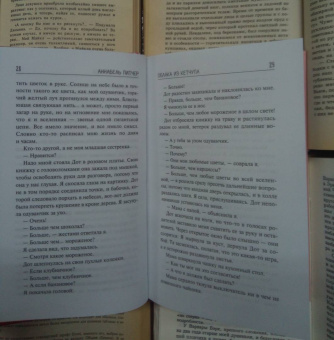Аннабель Питчер: Облака из кетчупа