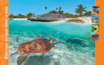 Пратези, Пратези: В мире животных. Энциклопедия
