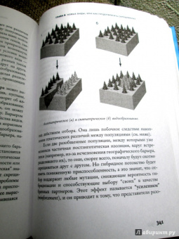 Марков, Наймарк: Эволюция. Классические идеи в свете новых открытий