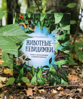 Лина Реншлебротен: Животные невидимки. Чудеса маскировки в дикой природе