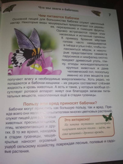 Людмила Соколова: Энциклопедия. Бабочки