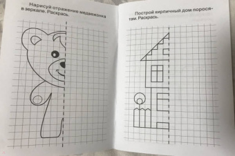 Блокнот с заданиями. IQничка. Графические ребусы. Более 50 игровых заданий. Учимся чертить и рисов.