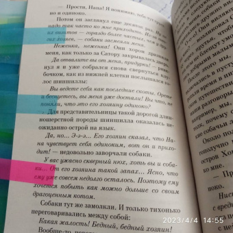 Хиро Арикава: Хроники странствующего кота