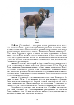 Лебедько, Танана, Климов: Разведение и селекция сельскохозяйственных животных. Учебник