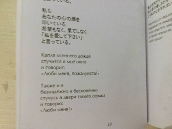 Илья Пушкин: Песни влюбленного медведя