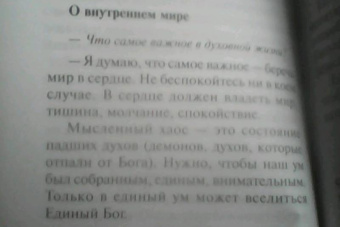 Фаддей Старец: Каковы твои мысли, такова и жизнь твоя. Поучения старца Фаддея Витовницкого