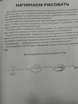 Мистер Грей: Суперкурс по рисованию. Голова и фигура человека