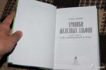Крис Эванс: Хроники железных эльфов. Книга 1. Тьма, выкованная в огне