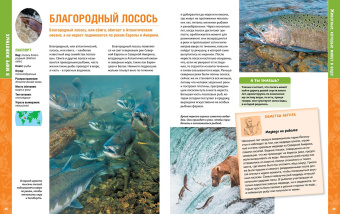 Пратези, Пратези: В мире животных. Энциклопедия