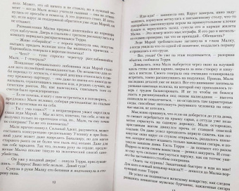 Виталий Зыков: Школа Пепла. Слуга двух господ