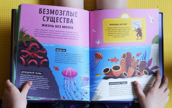 Тим Кеннингтон: Его величество мозг. Все самое интересное о работе мозга людей, животных и роботов