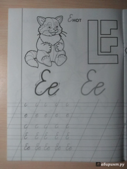Прописи "Е - Енот"