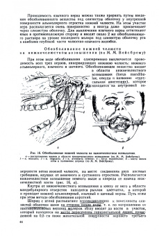 Евдокимов, Васильев: Хирургическая стоматология