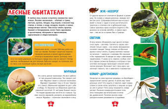 В мире насекомых. Детская энциклопедия