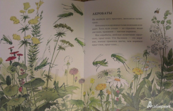 Анатолий Тумбасов: Телеграмма