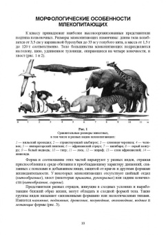 Виктор Машкин: Биология промысловых зверей России. Учебник для СПО