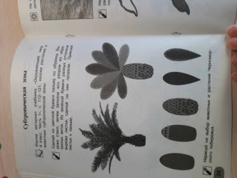 Анна Предит: Изобразительное искусство. Мы раскрасим целый свет 4 класс. Тетрадь для внеурочной деятельности