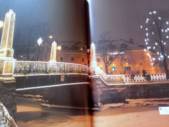 Агнесса Невская: С моста виднее. 50 мостов Петербурга, которые расскажут свою версию истории города