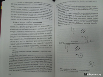 Гунтхард Вебер: Практика семейной расстановки. Системные решения по Берту Хеллингеру