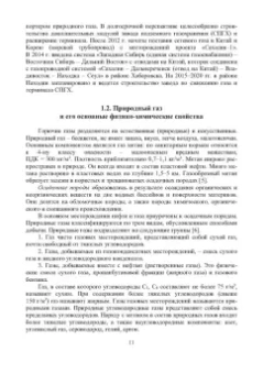 Елена Стасева: Безопасность труда в газовом хозяйстве. Учебное пособие