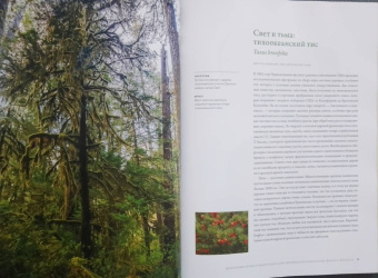 Макс Адамс: Выдающиеся деревья, которые изменили нашу жизнь