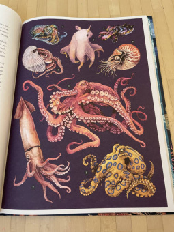 Лавдэй Триник: Океанариум