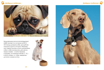 Наталья Куйе: Моя любимая книга о животных