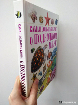 Ликсо, Кошевар: О подводном мире