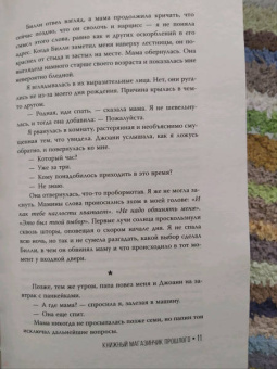 Эми Майерсон: Книжный магазинчик прошлого