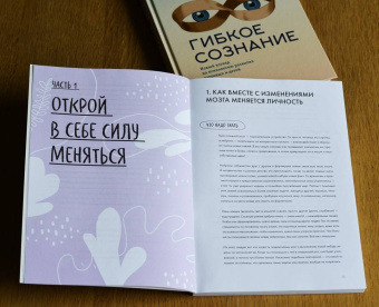 Шлейдер, Малларки, Добиас: Развиваем гибкое мышление