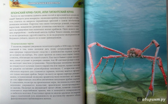 Ольга Тяжлова: Удивительные животные