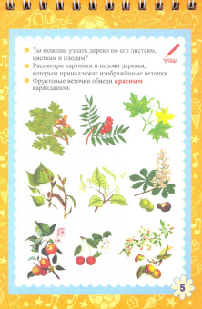 Блокнот занимательных заданий для детей 7-10 лет. ФГОС ДО