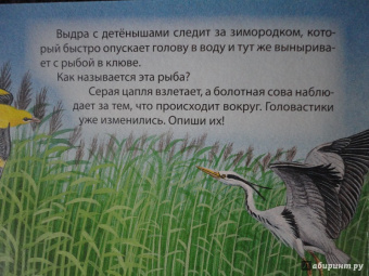 В пруду и у реки