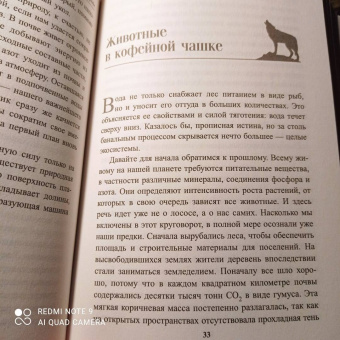Петер Воллебен: Тайные связи в природе
