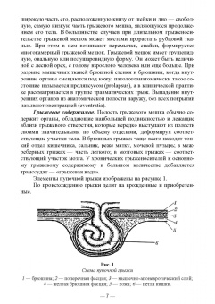 Шнякина, Щербаков, Сткпанова: Абдоминальные грыжи у животных. Лечение и профилактика Учебное пособие для СПО