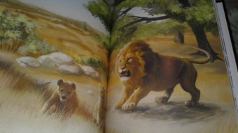 Владислав Щербак: Хочу знать. Львы