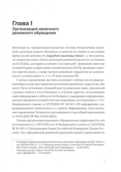 Александр Бычков: Правомерный и нелегальный оборот наличных денег