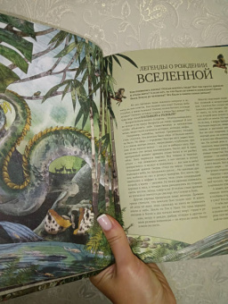 Катажина Баерович: История жизни на Земле