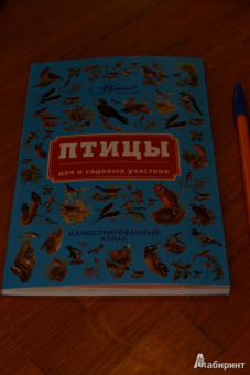 Владимир Бабенко: Птицы дач и садовых участков
