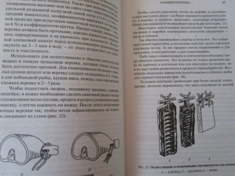 Заготавливаем птицу, мясо, рыбу. Копчение, консервирование, вяление, приготовление колбас