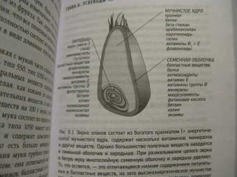 Бас Каст: Компас питания. О еде и ее влиянии на вес и здоровье