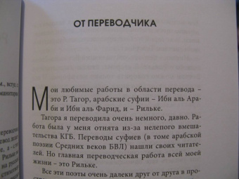 Мария Райнер: Сонеты к Орфею