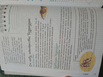 Сильвия Андре: Мой блокнот. Антистресс