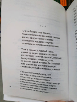 Дмитрий Воденников: Небесная лиса. Стихотворения и поэмы