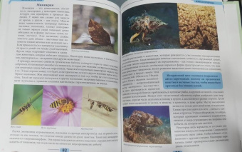 Мария Куруськина: Живая природа