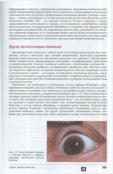 Шифф, Соррел, Мэддрей: Алкогольные, лекарственные, генетические и метаболические заболевания