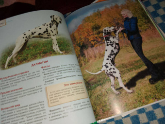 Ольга Тяжлова: Энциклопедия. Собаки