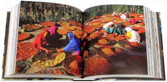 Фарбрицио Финетти: Люди