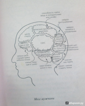 Пиз, Пиз: Язык взаимоотношений. Как научиться общаться с противоположным полом без конфликтов